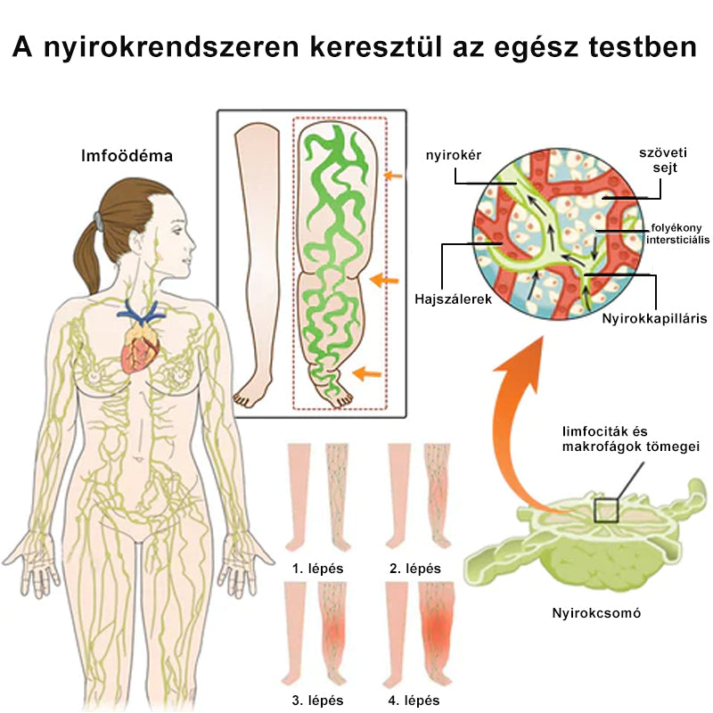 🐝🐝 AFGAFG™ Perličková koupel na odvodnění lymfatických uzlin a redukci váhy 🔥 Omezená doba: 70% SLEVA 🔥 (Minimální zásoba rychle vyprodána) 🔥